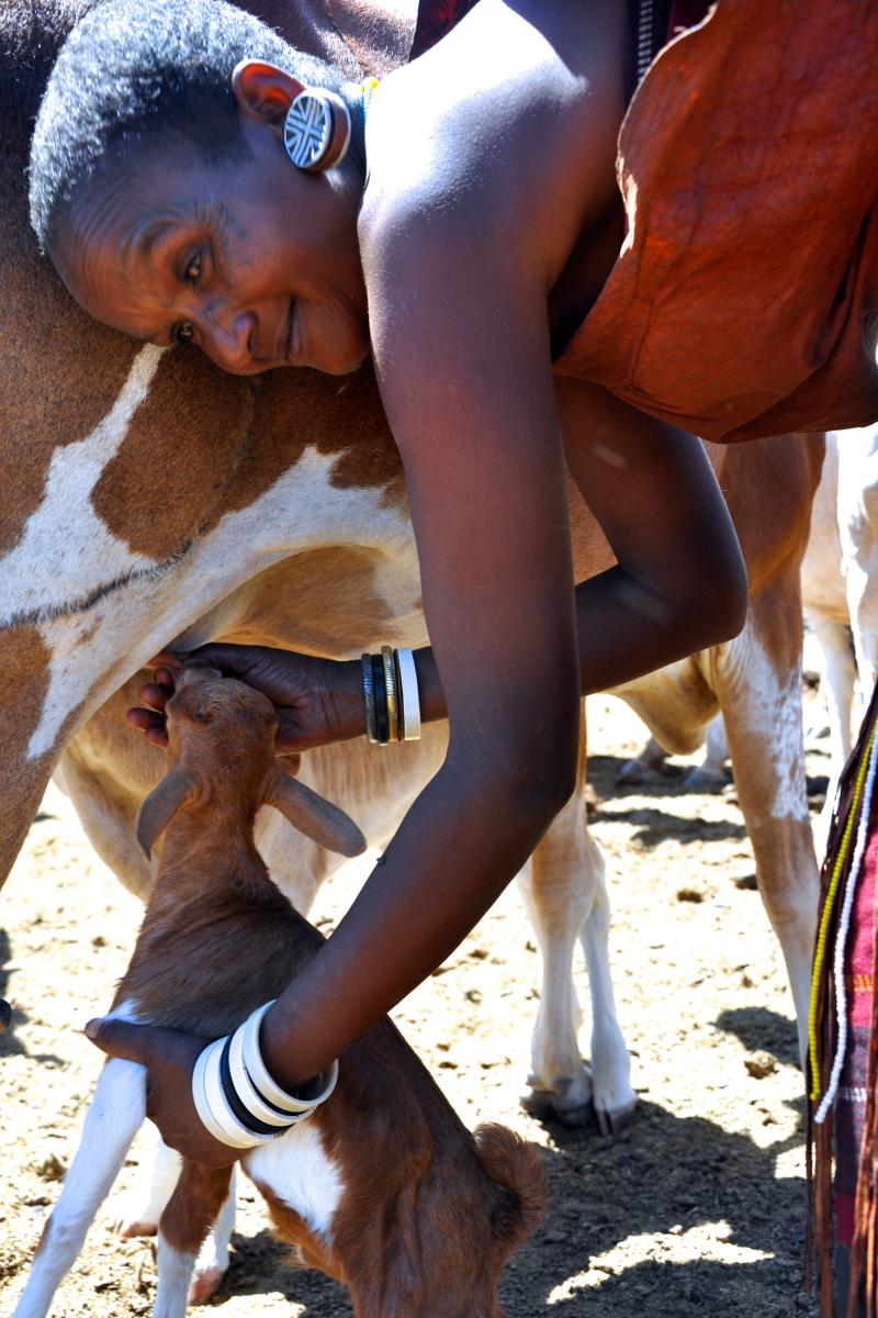 Photo Credits: UGA College of Ag & Environmental Sciences - OCCS