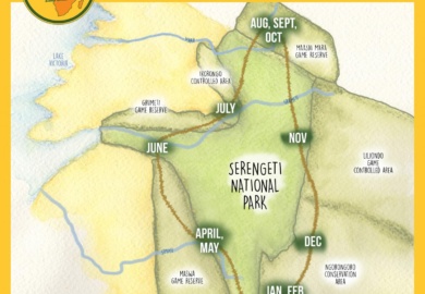 Great Migration Serengeti Tanzania Africa SafariADV ExploringAfrica Map Mappa