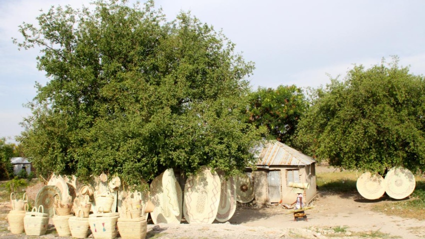 exploringafrica tanzania safariadv silvano greco