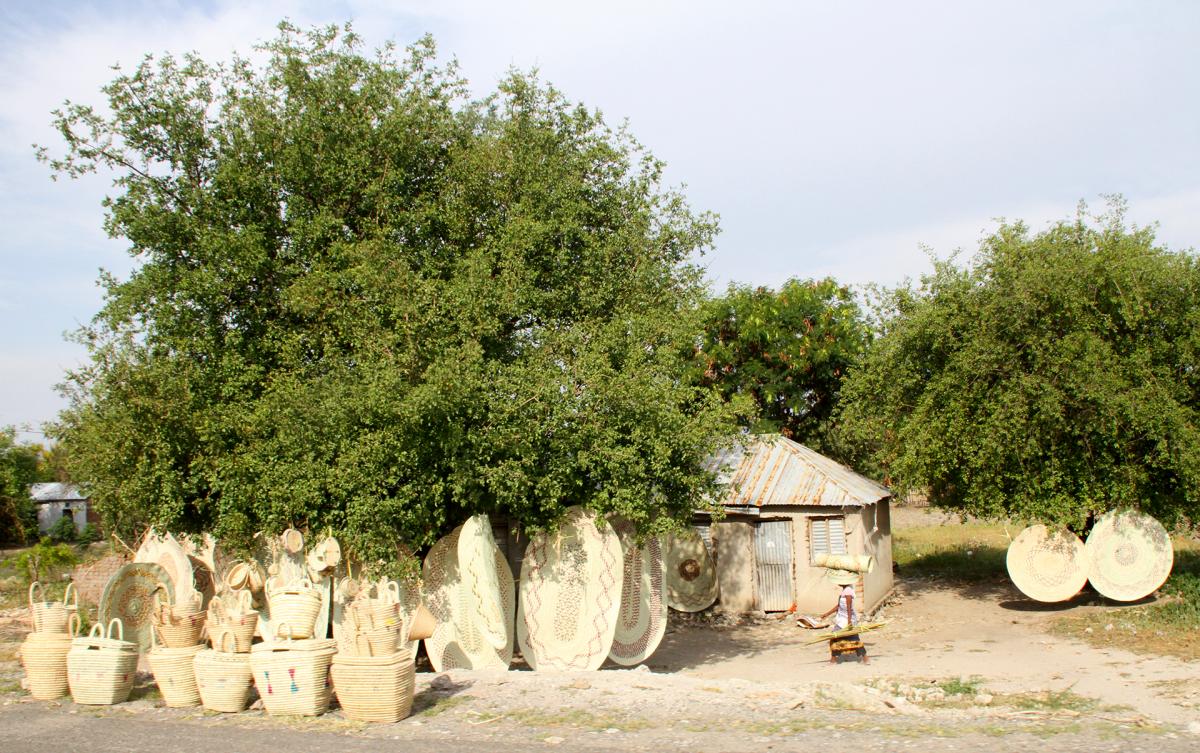 exploringafrica tanzania safariadv silvano greco