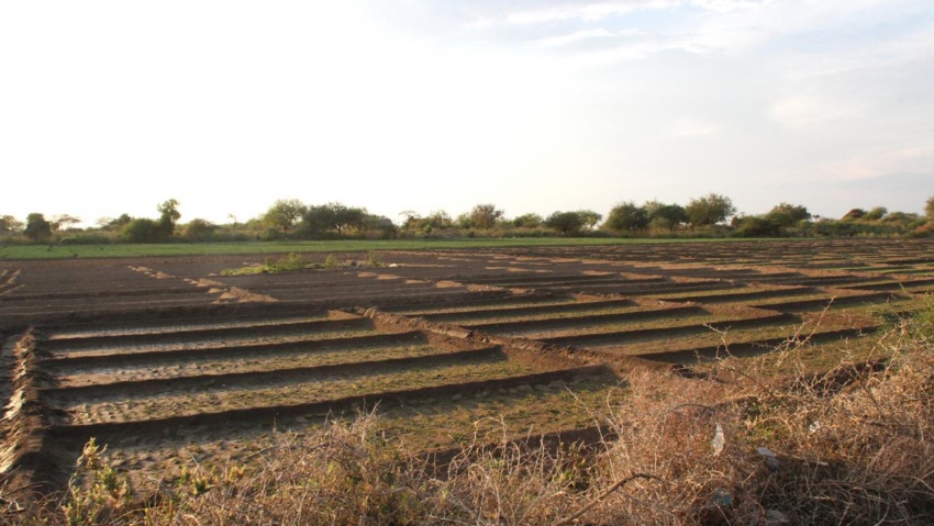 exploringafrica safariadv tanzania romina facchi