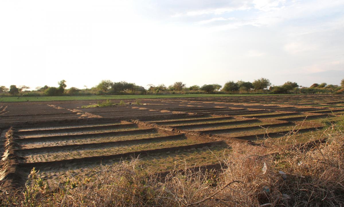 exploringafrica safariadv tanzania romina facchi