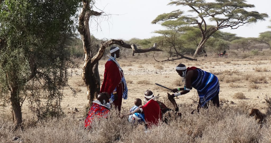 maasai people tanzania exploringafrica safariadv travel viaggio