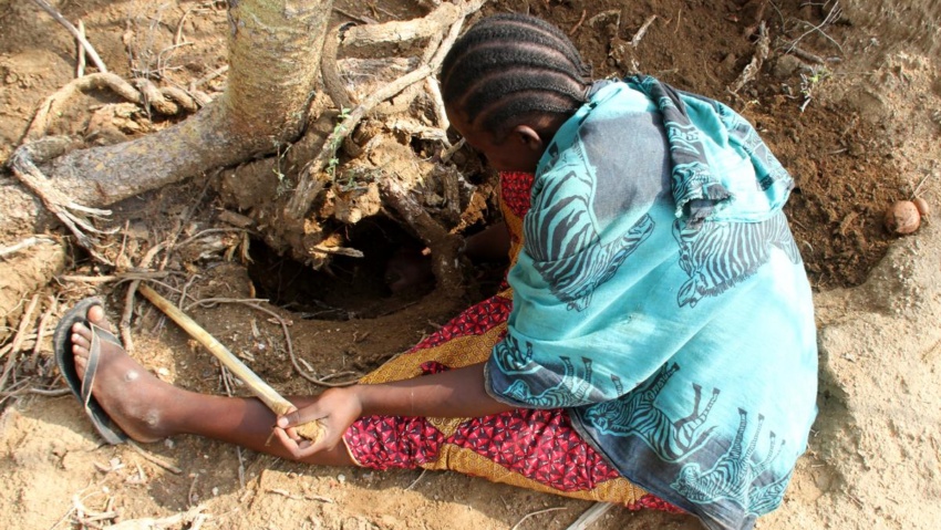 tanzania hadzabke exploringafrica safariadv