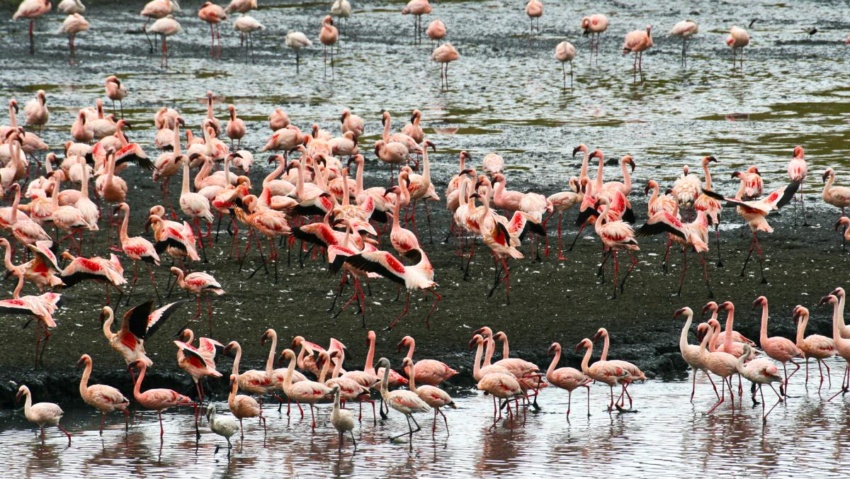 arusha NP tanzania romina facchi exploringafrica safariadv safari travel