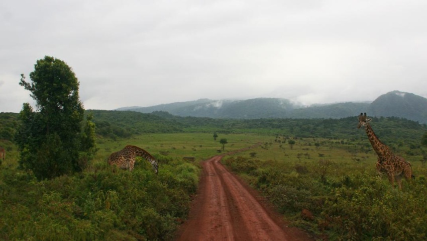arusha NP tanzania romina facchi exploringafrica safariadv safari travel