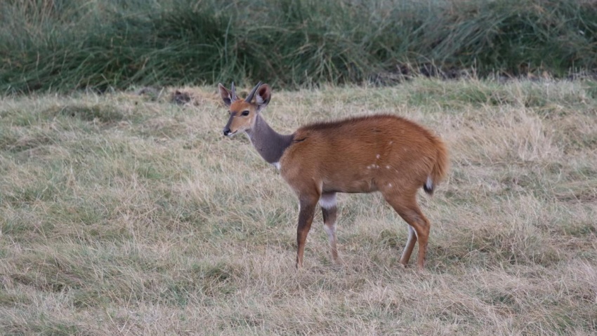 Arusha National Park