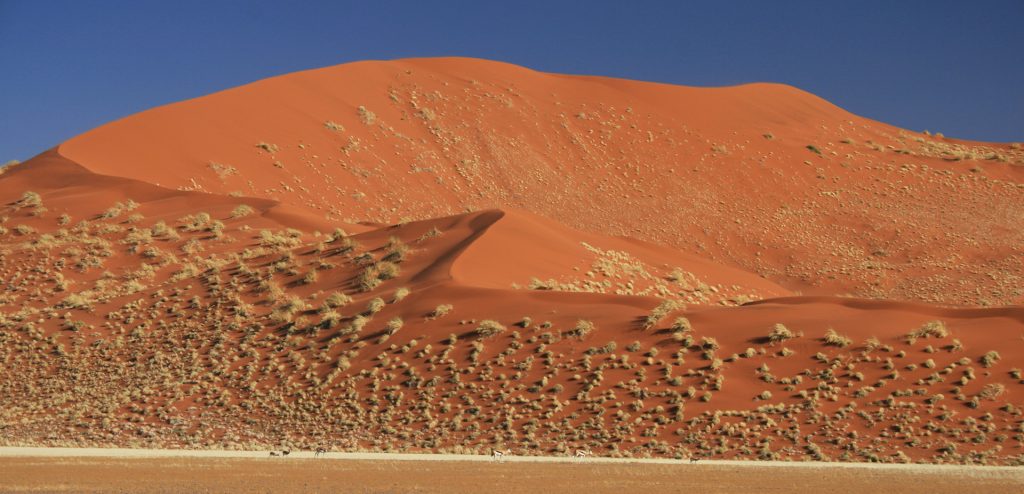 namib-naukluft national park namib desert namibia dune