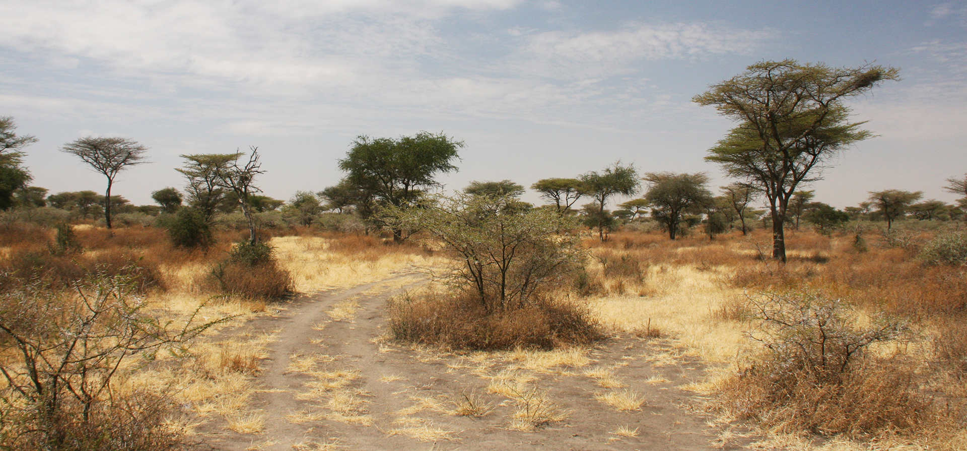 Serengeti National Park: Eastern sector