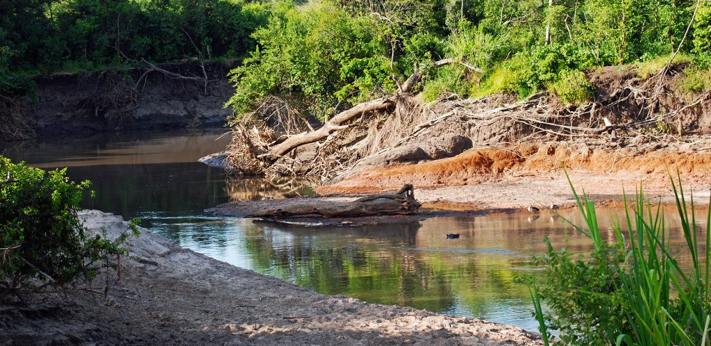 Grumeti River Serengeti National Park commiphora forest western