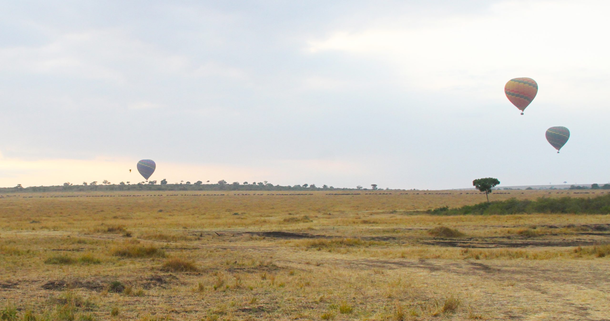 air balloon safari in Masai Mara National Reserve