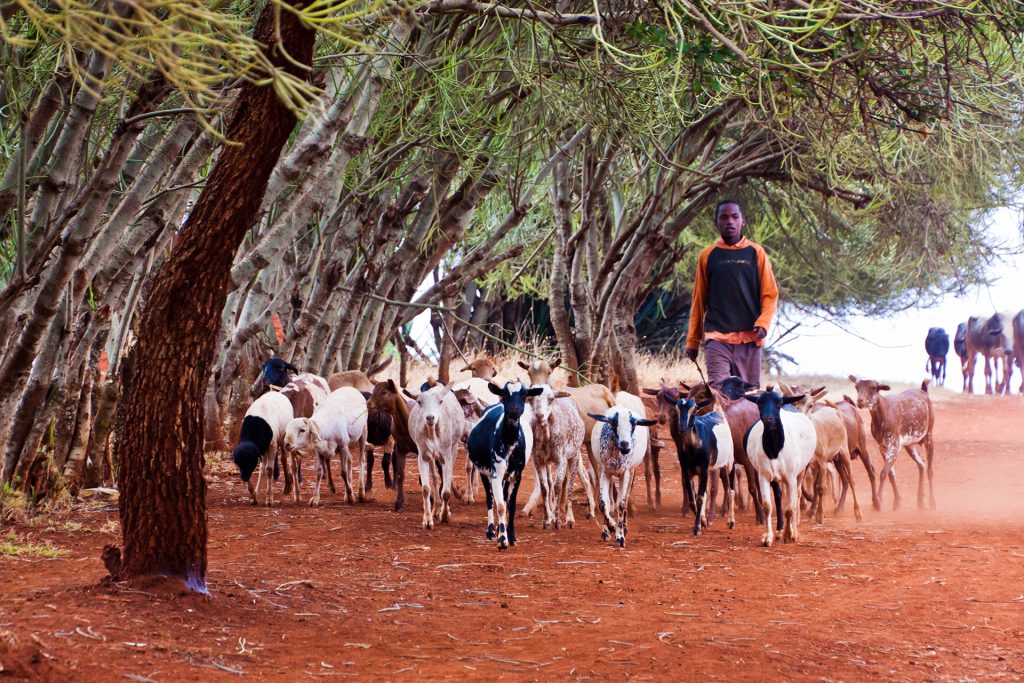 mbulu iraqw people tanzania