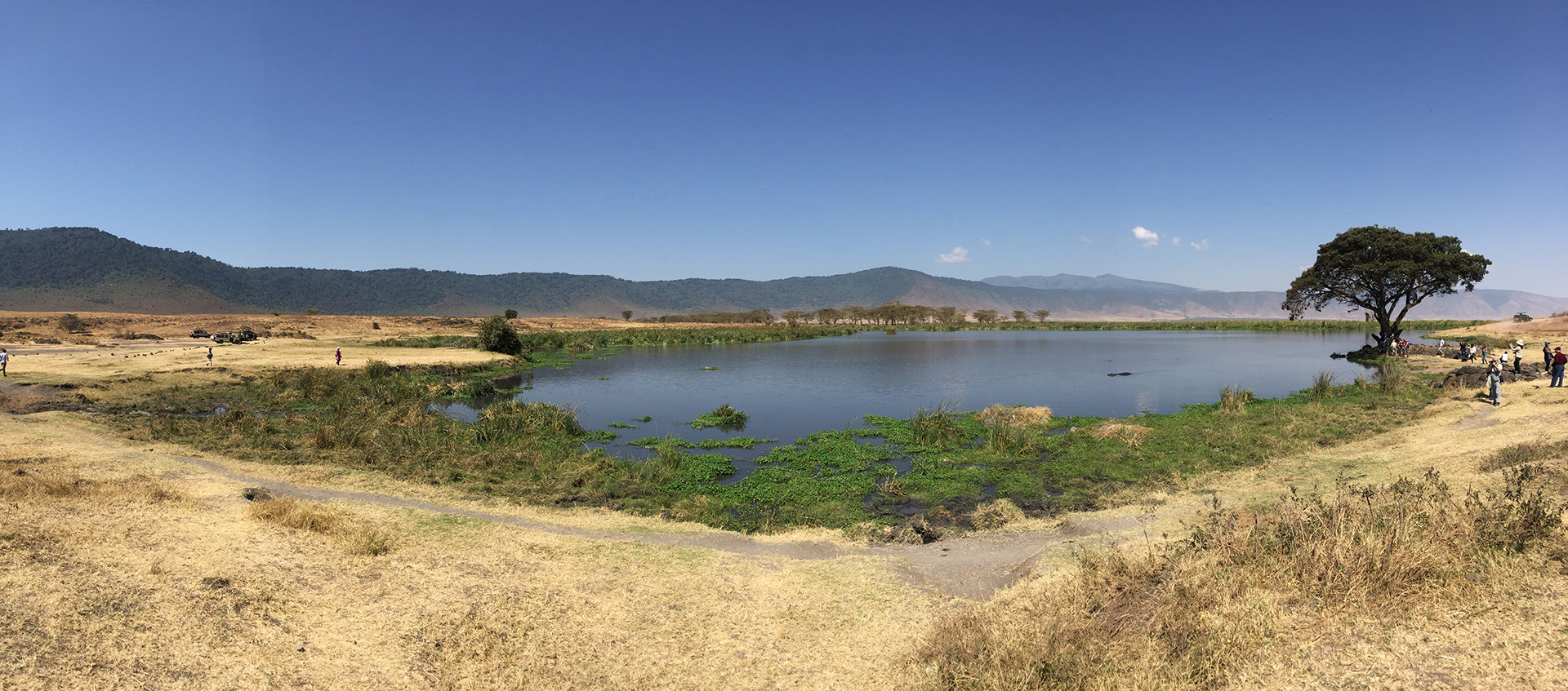 Ngorongoro Conservation Area