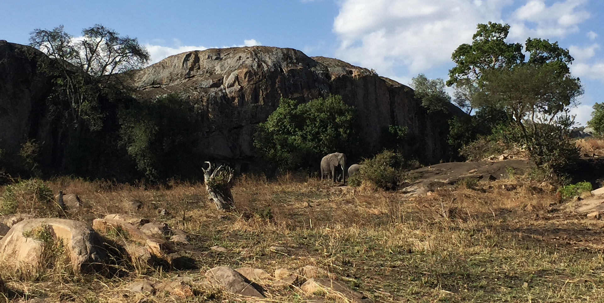 Serengeti National Park: Lobo Valley elephant and kopjes