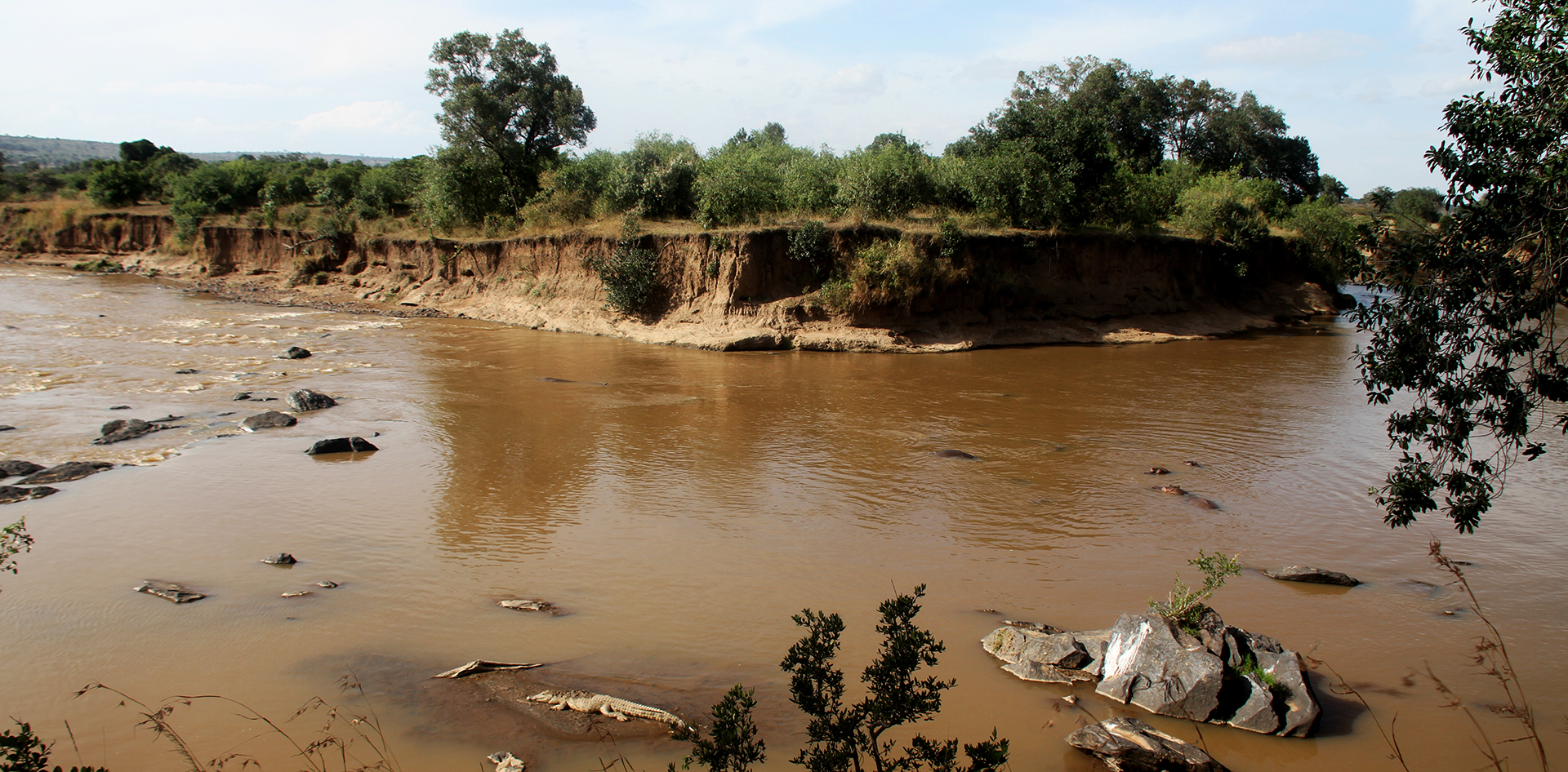 masai mara exploringafrica savannah romina facchi safariadv gnu great migration zebre river