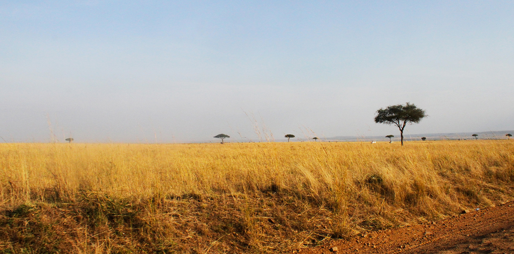 Masai Mara National Reserve landscape