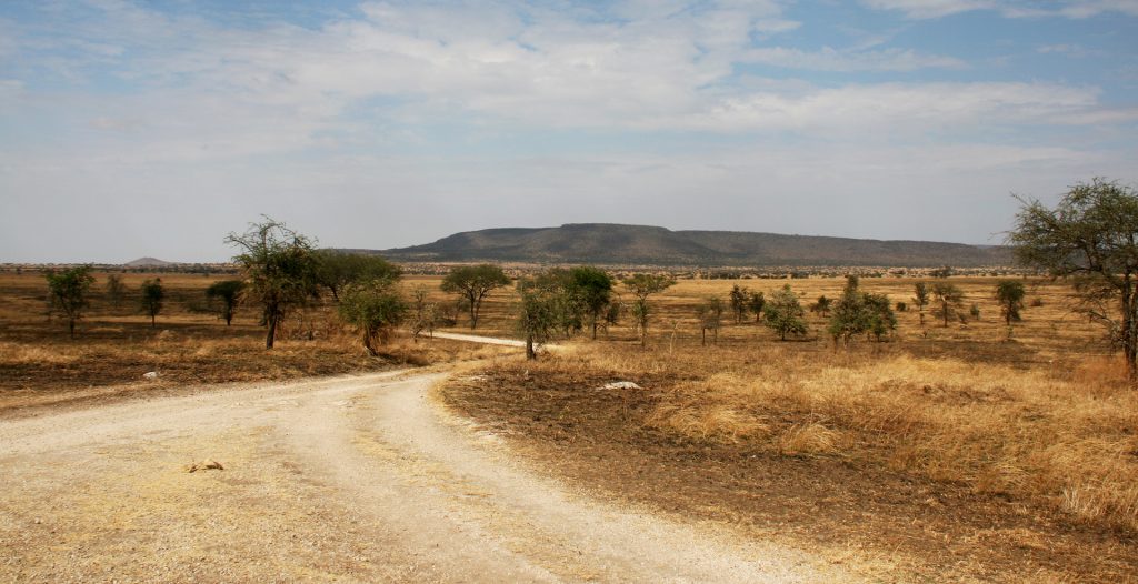 Serengeti National Park: Makoma Hill driving