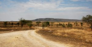 Serengeti National Park: Makoma Hill driving