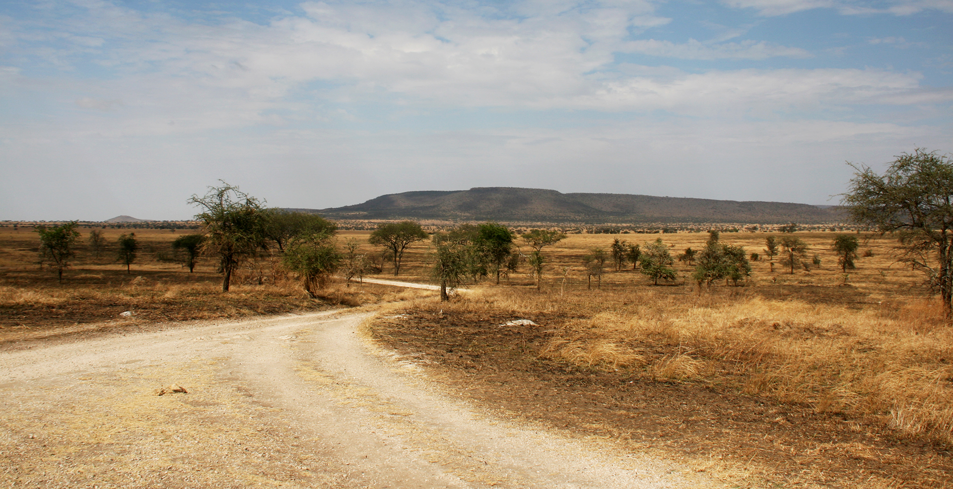 Serengeti National Park: Makoma Hill driving