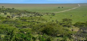 Naabi Hills in Serengeti National Park during the green season