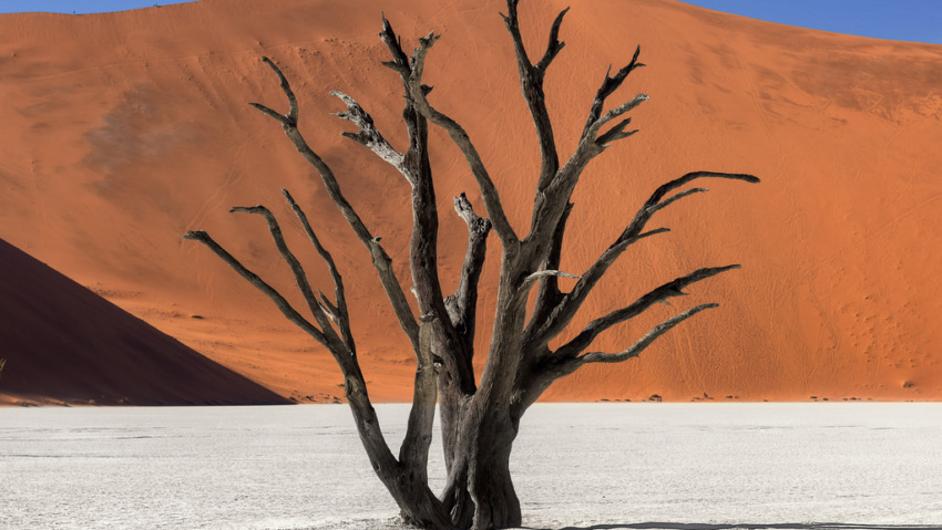 Namibia Namibia desert