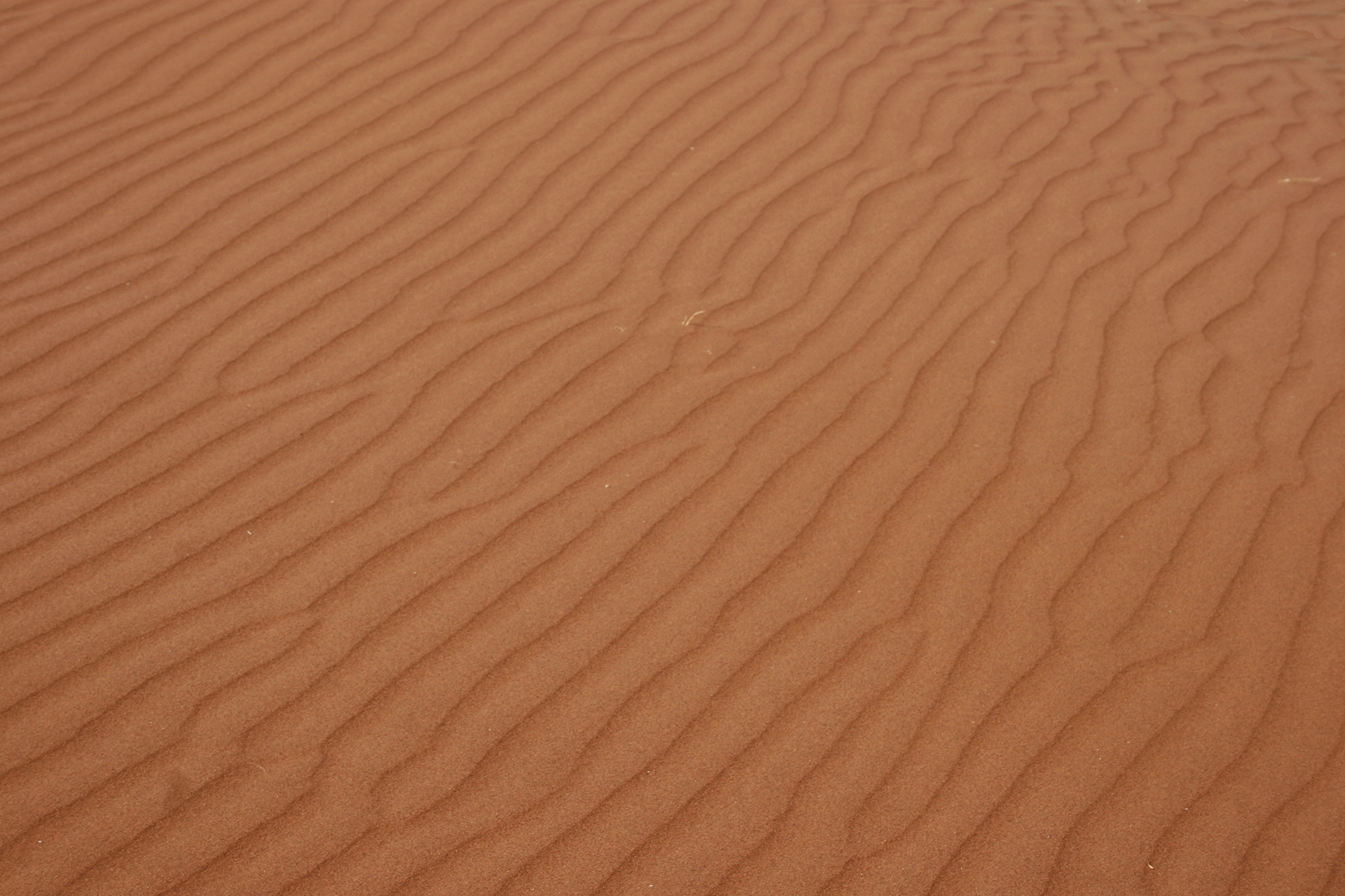 namib-naukluft national park namib desert namibia dune