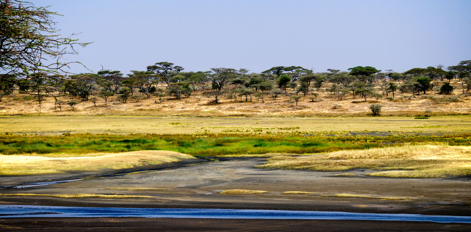 Serengeti National Park: Lake Ndutu during green season