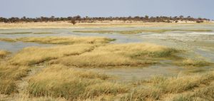 Etosha National Park the pan namibia africa romina facchi