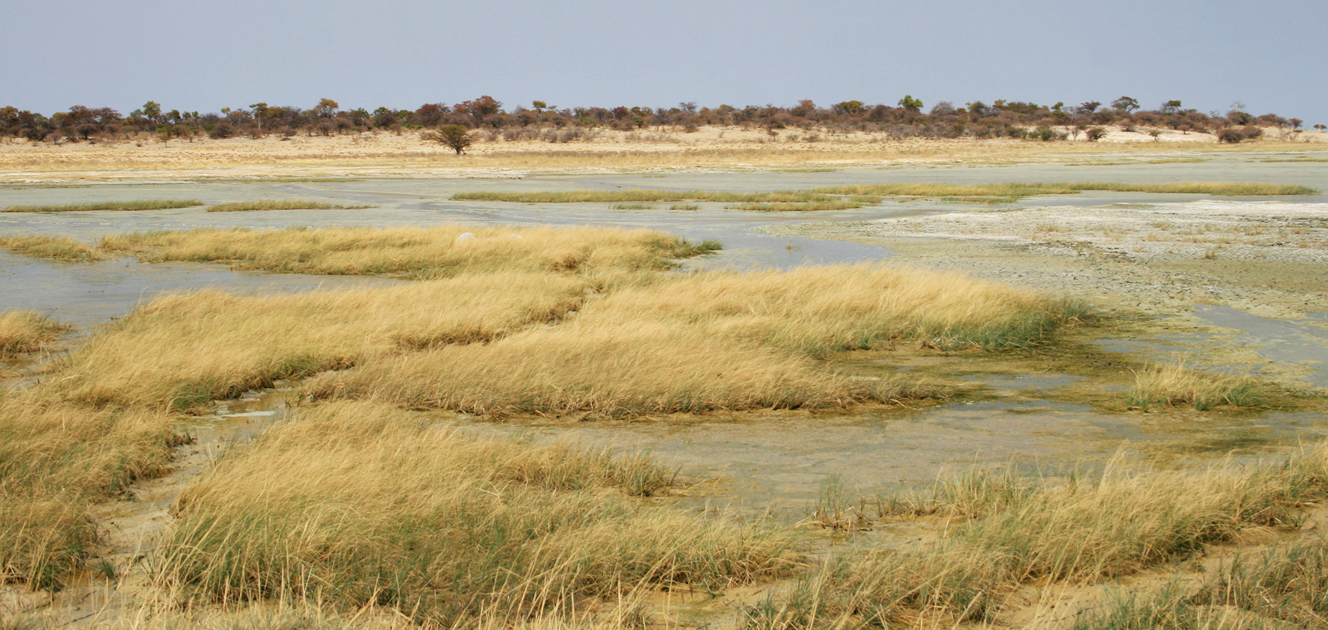 Etosha National Park the pan namibia africa romina facchi