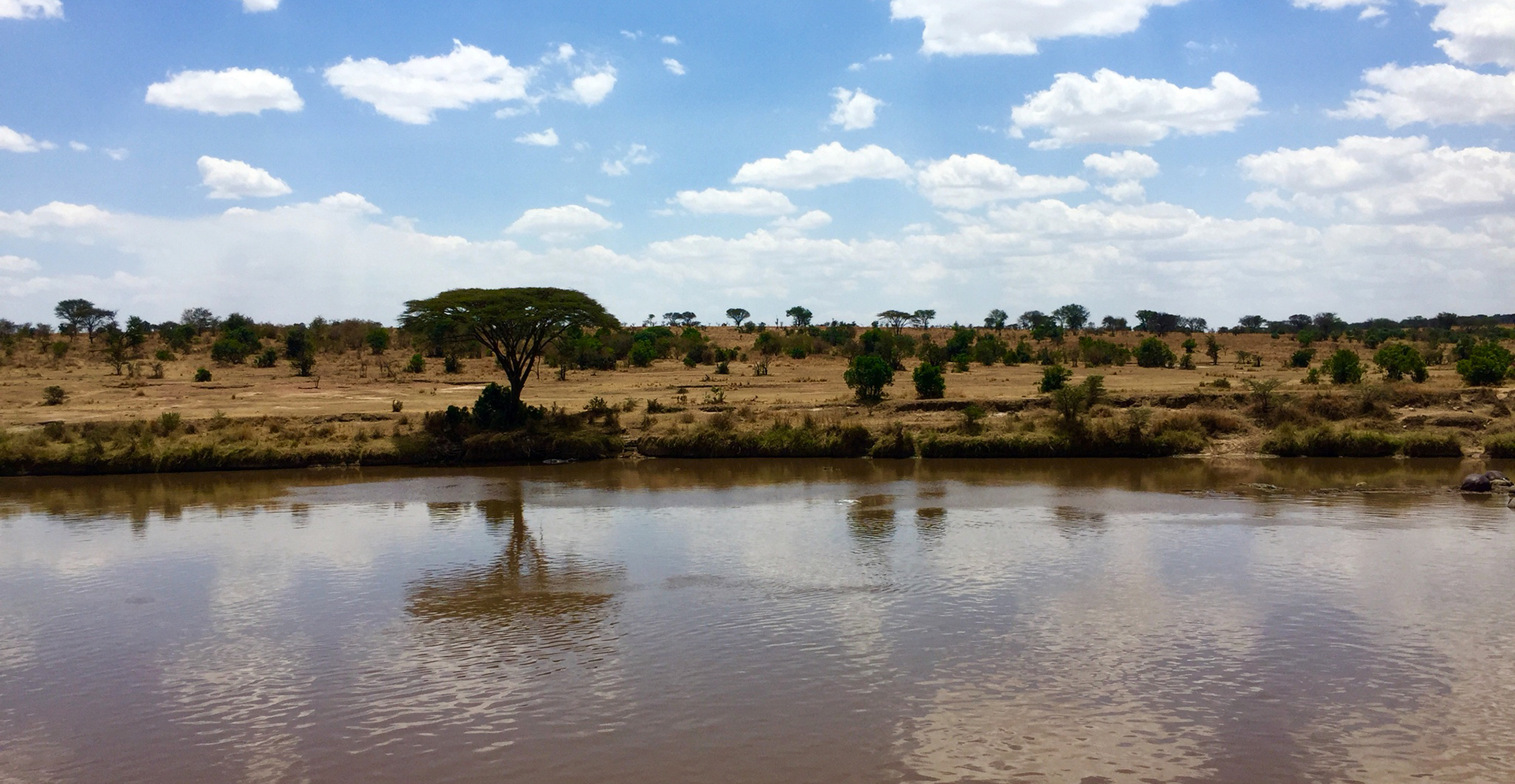 Serengeti National Park: Mara River at Kogatende Ranger Station