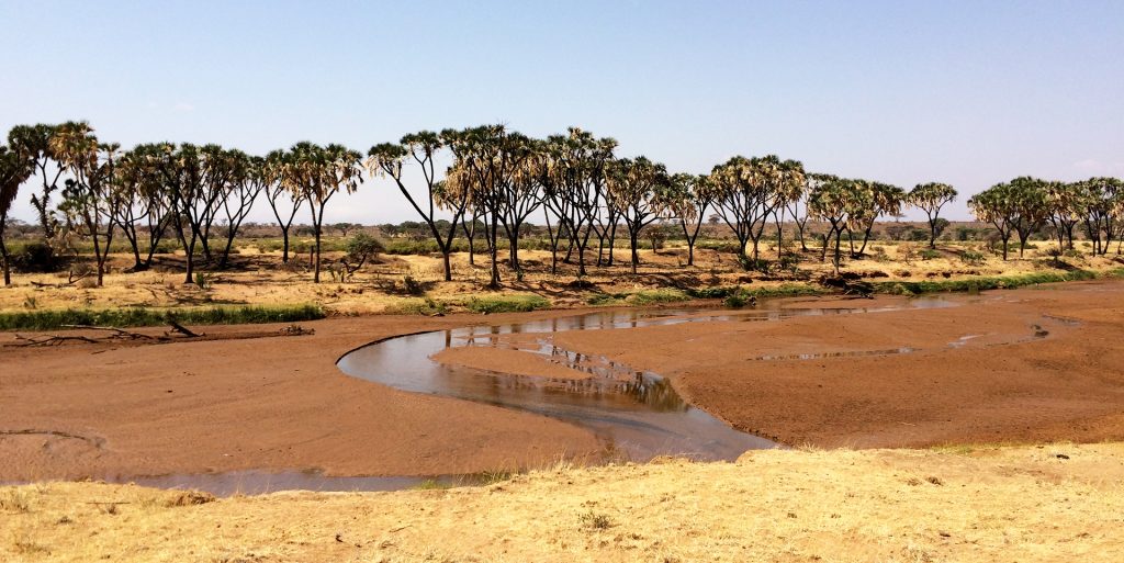 Samburu National Reserve Ewaso Ngiro River Kenya Exploring Africa