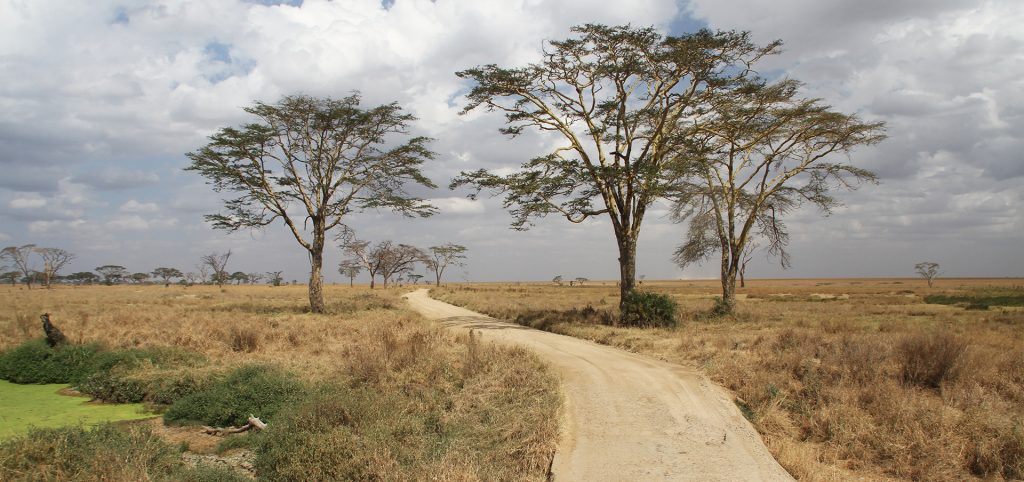 Serengeti National Park: Seronera Valley