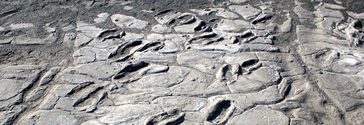 tanzania romina facchi africa exploringafrica laetoli olduvai gorge