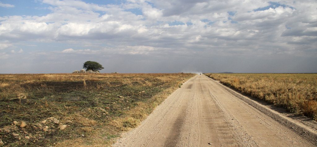 Driving through Serengeti National Park