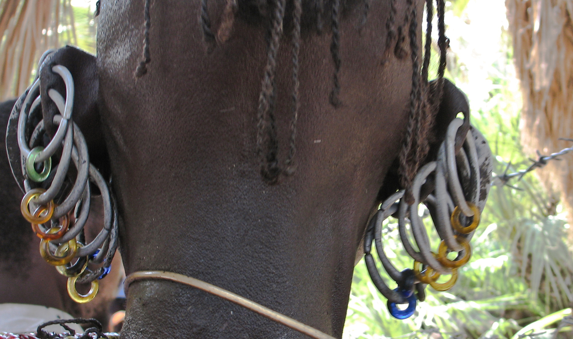 turkana woman with lots of earrings