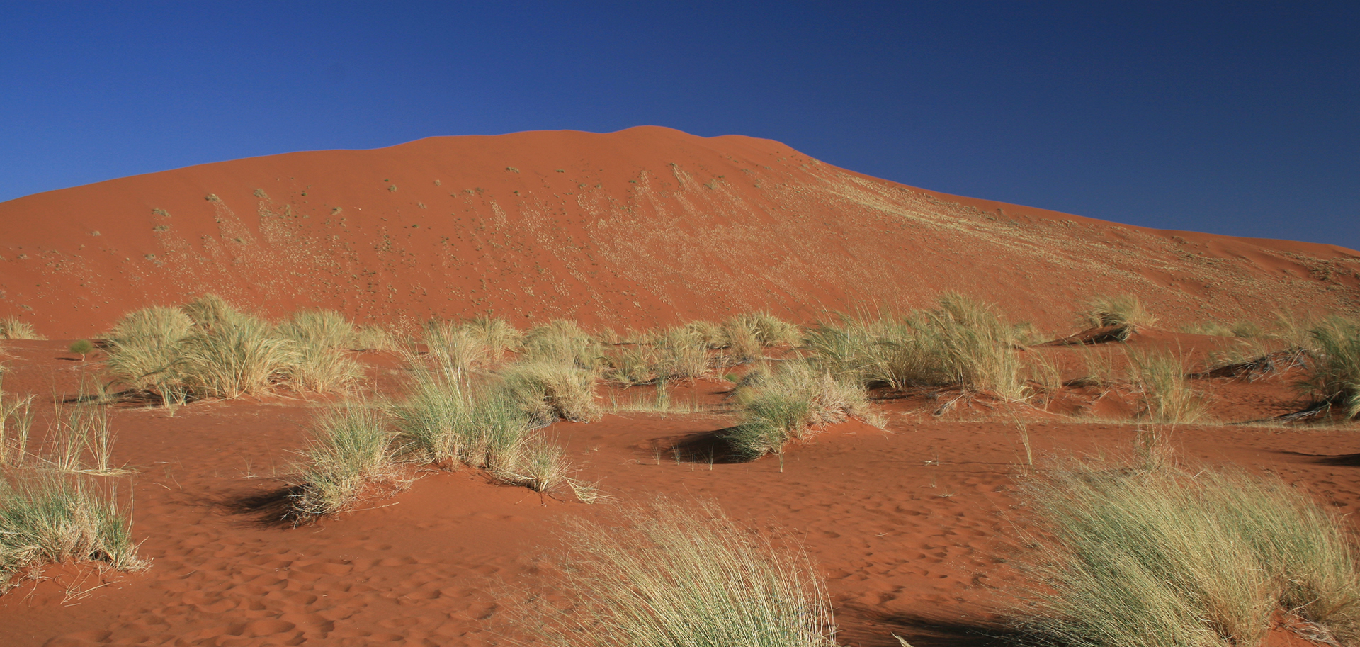 namib-naukluft national park namib desert namibia dune