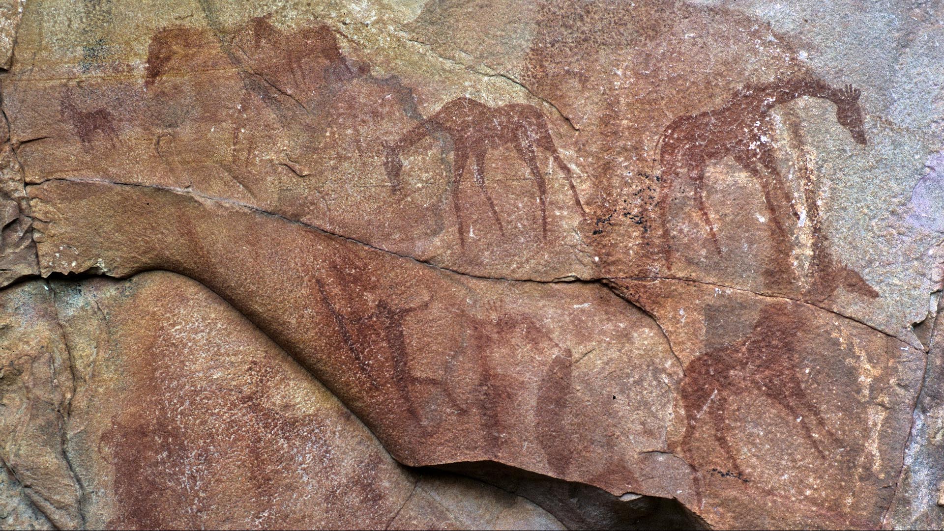 zimbabwe petroglyph history san