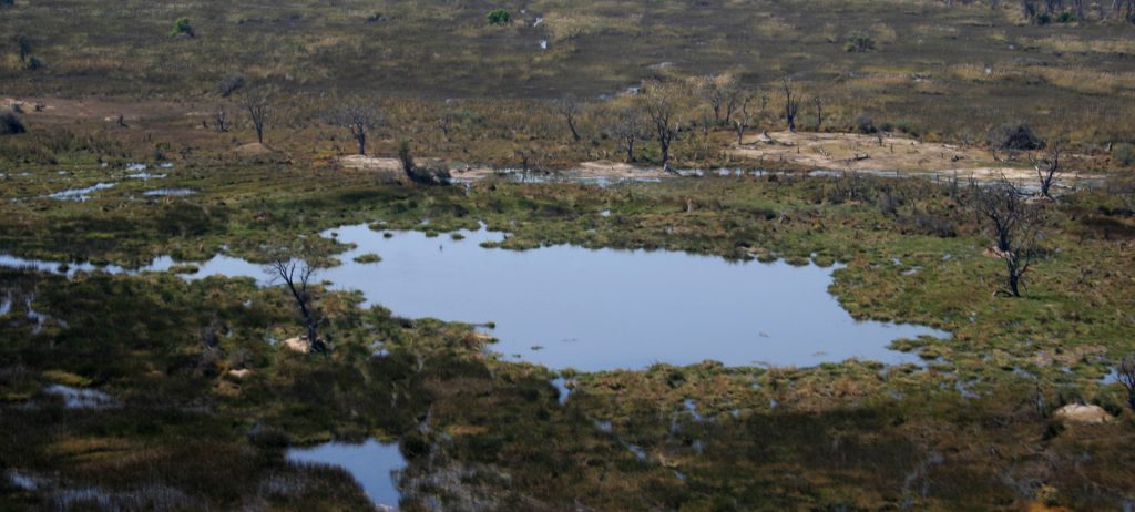 okawango delta exploringafrica safariadv romina facchi travel viaggi