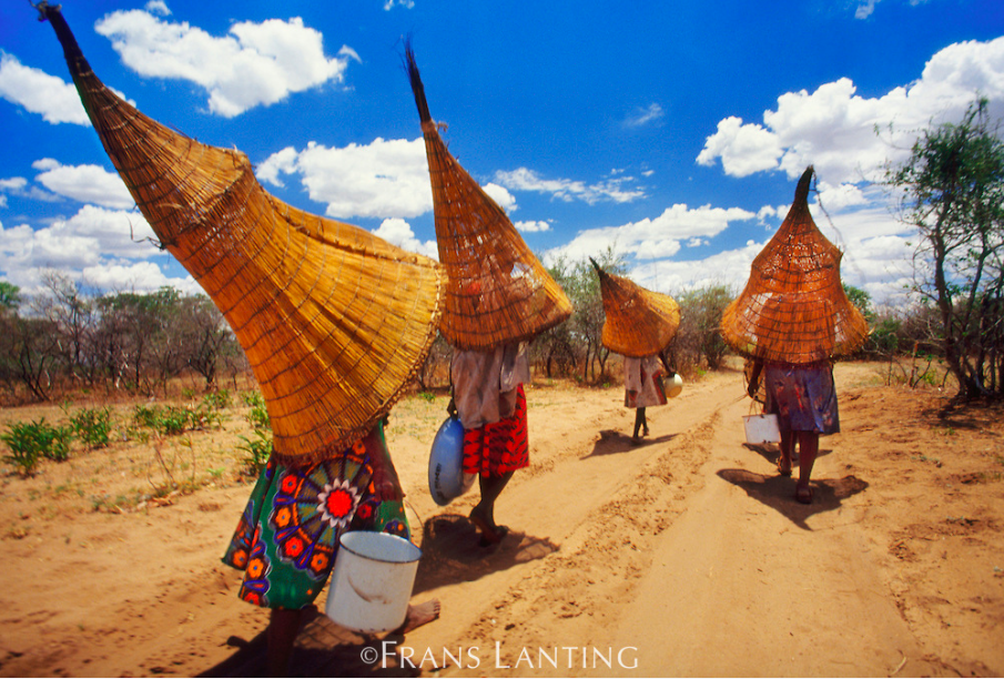 okawango delta exploringafrica safariadv romina facchi travel viaggi hamukushu