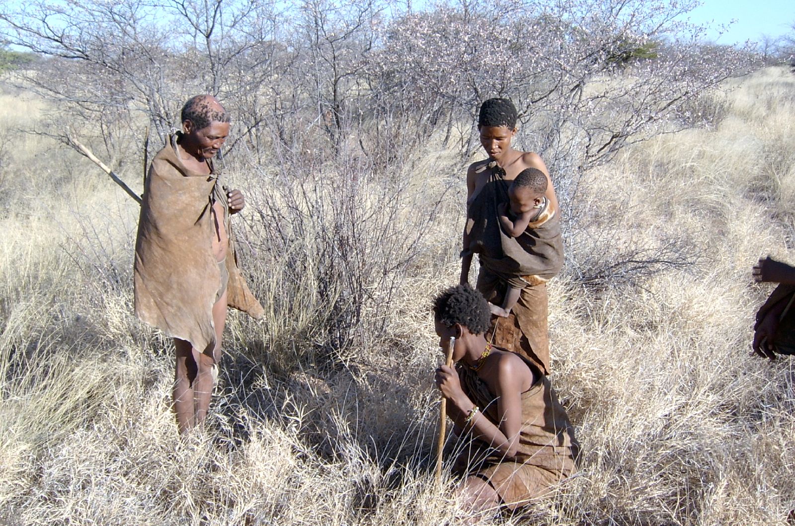 botswana safari san bushmen africa safariadv exploringafrica romina facchi