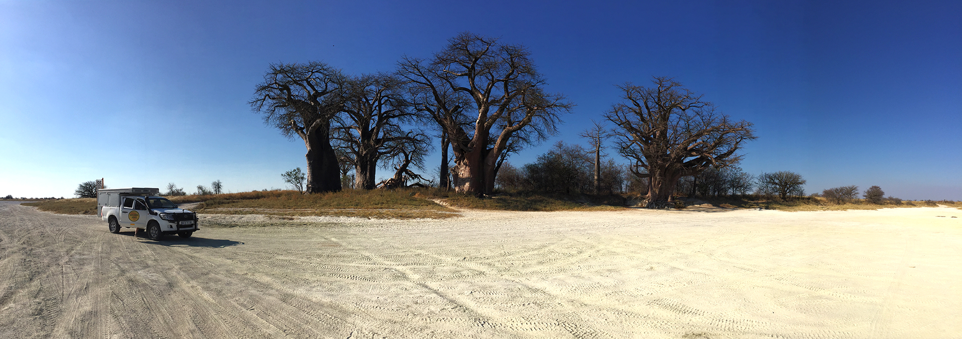 botswana safari nxai pan baobab africa safariadv exploringafrica romina facchi