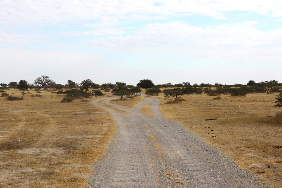 Makgadikgadi Pans botswana exploringafrica safariadv romina facchi