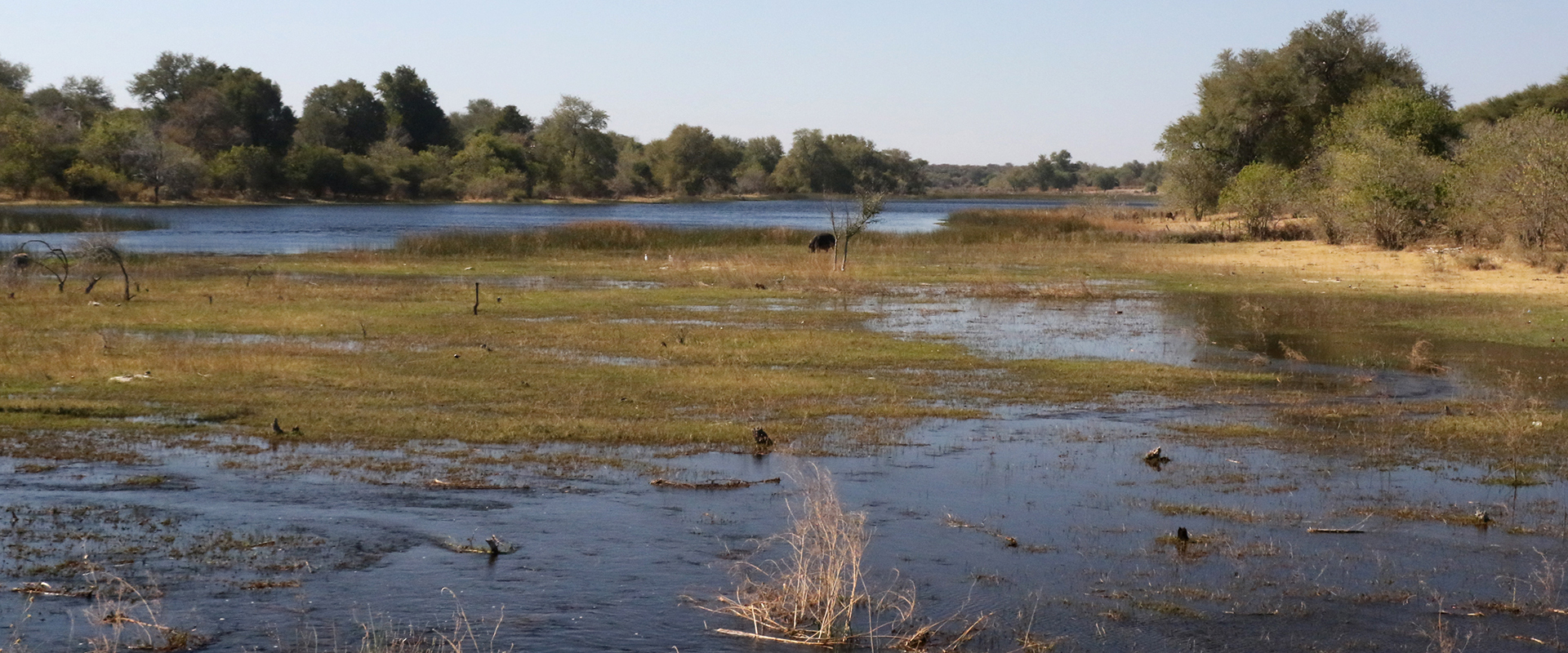 botswana maun exploringafrica safariadv romina facchi