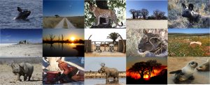 exploringafrica safariafv safari romina facchi namibia botswana south africa