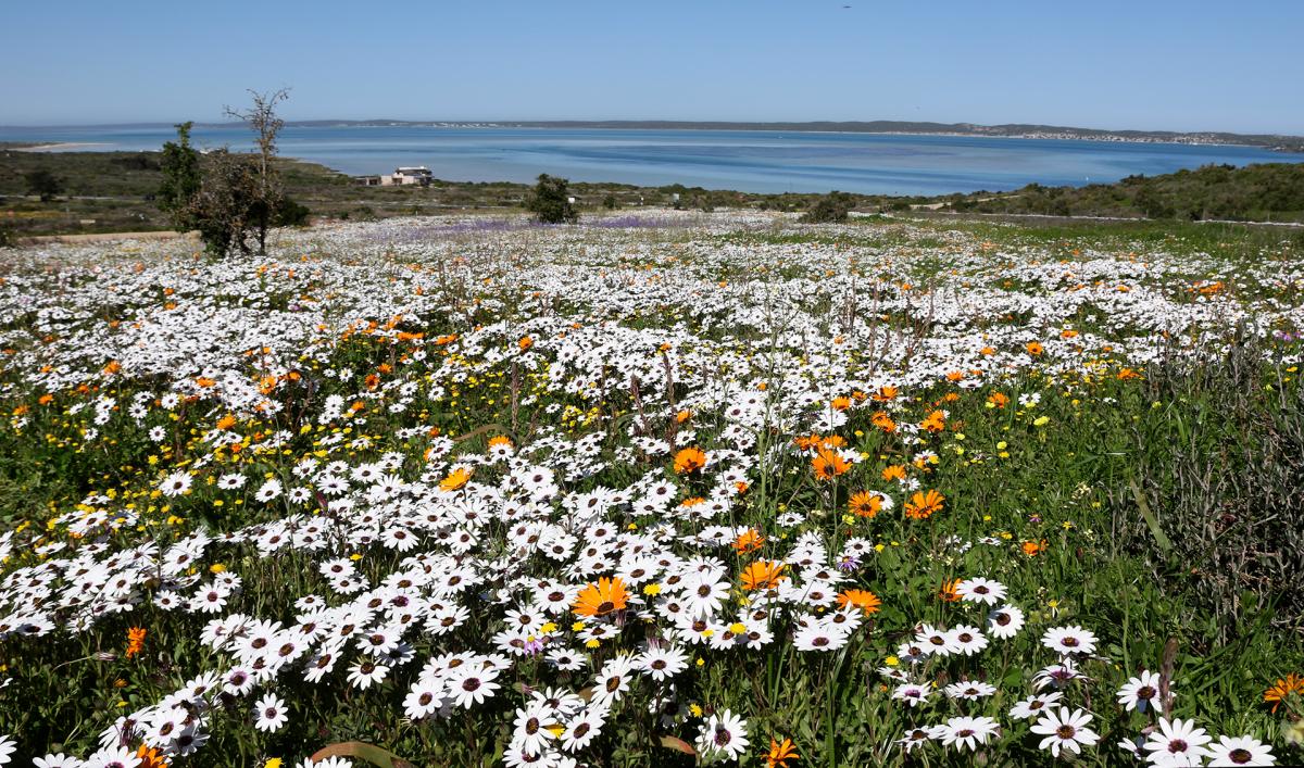 exploringafrica safariadv romina facchi south africa ocean