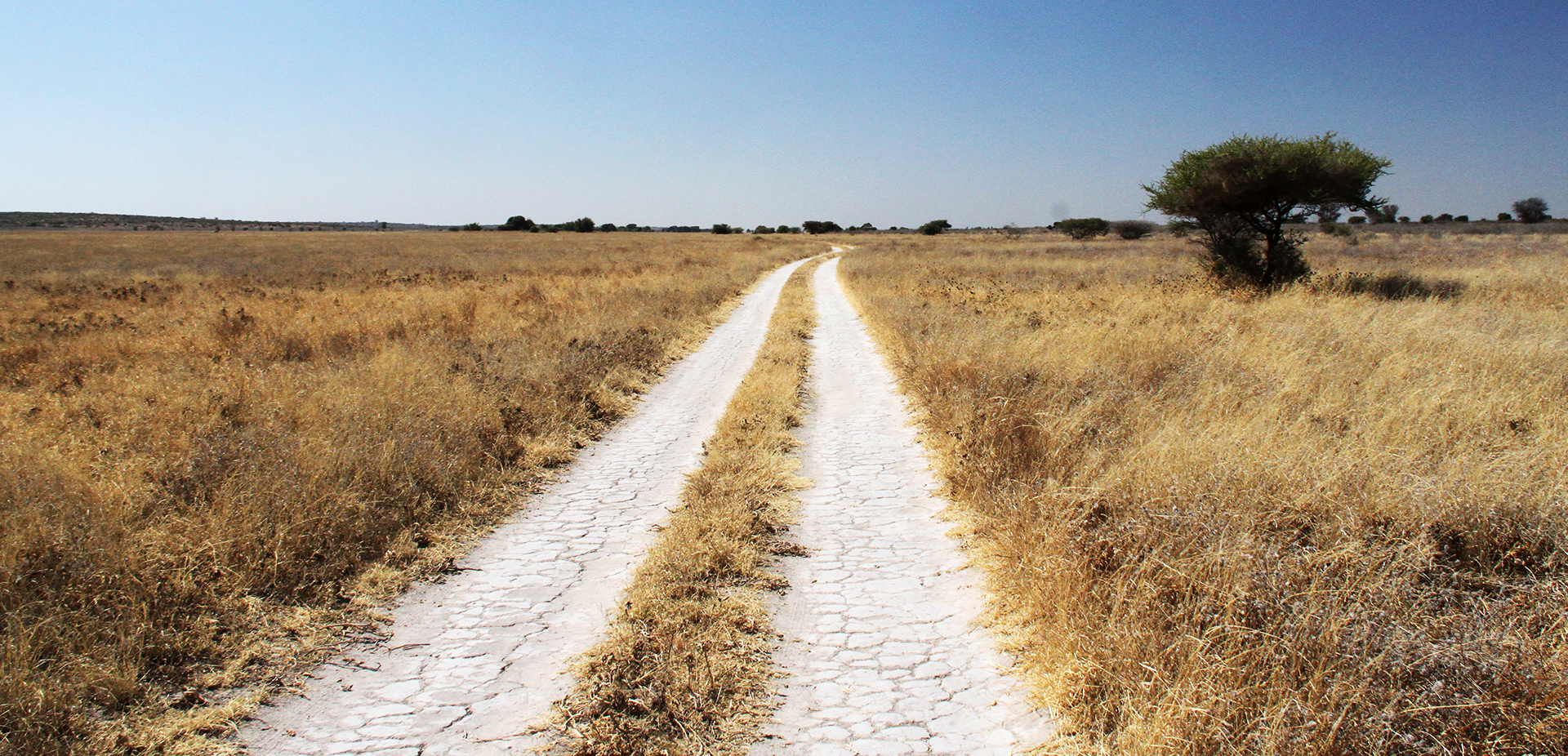 central kalahari ckgr exploringafrica safariadv romina facchi botswana desert