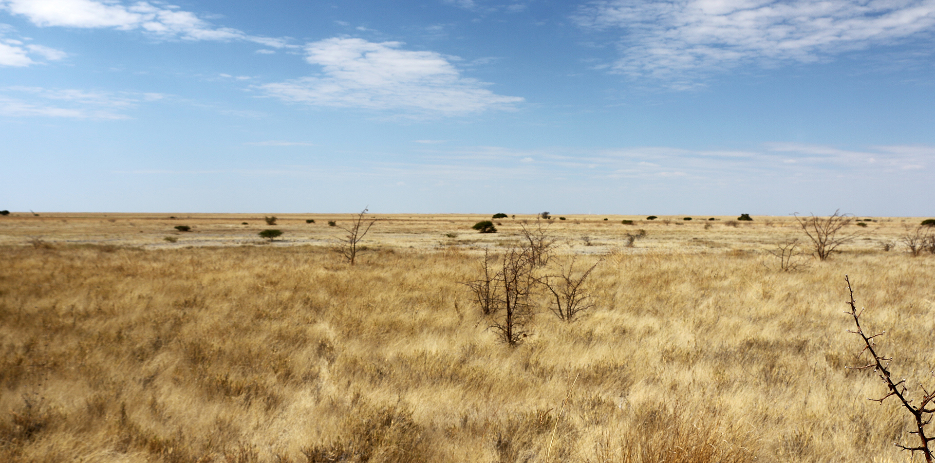 exploringafrica safariadv romina facchi botswana travel