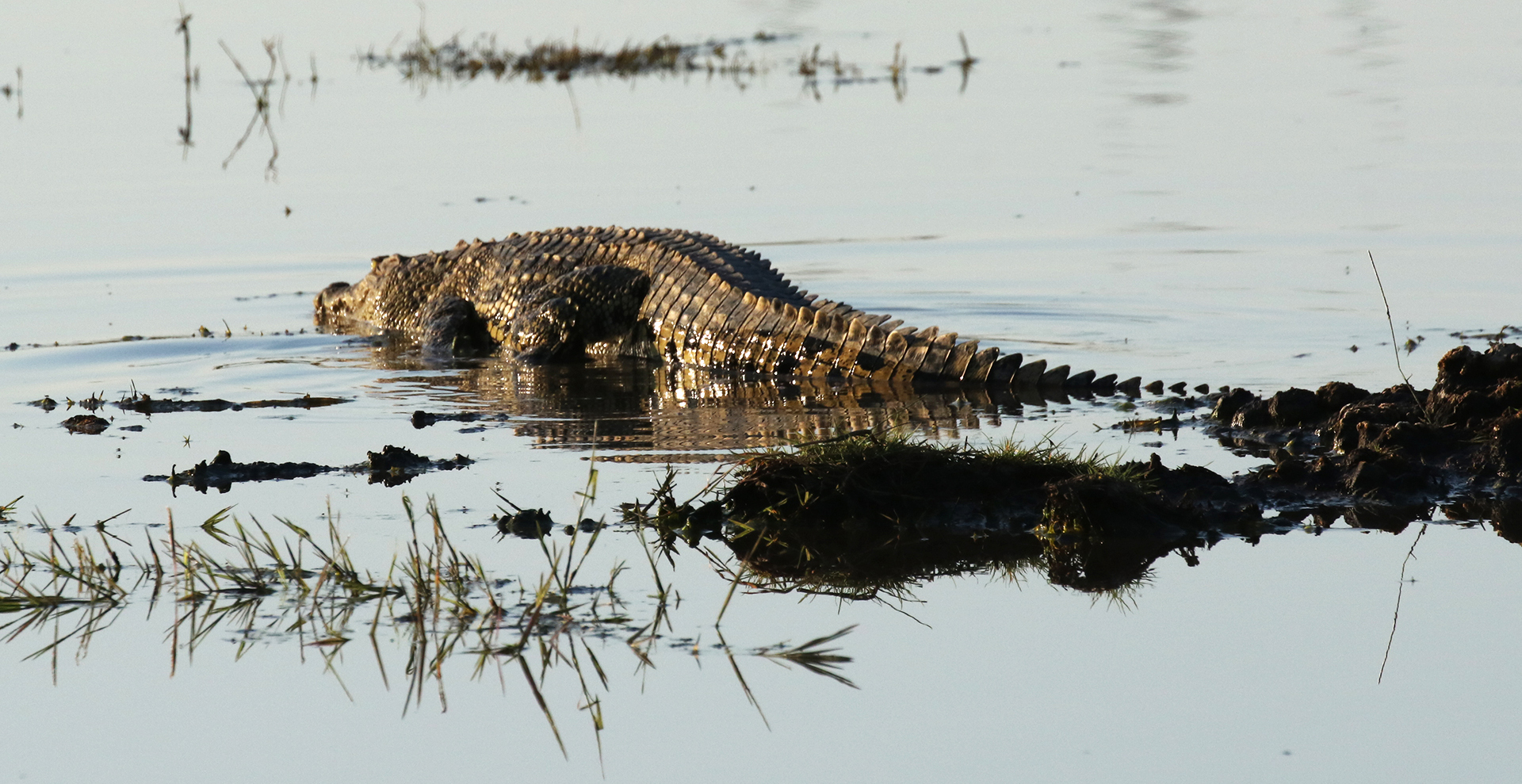 exploringafrica safariadv romina facchi botswana travel