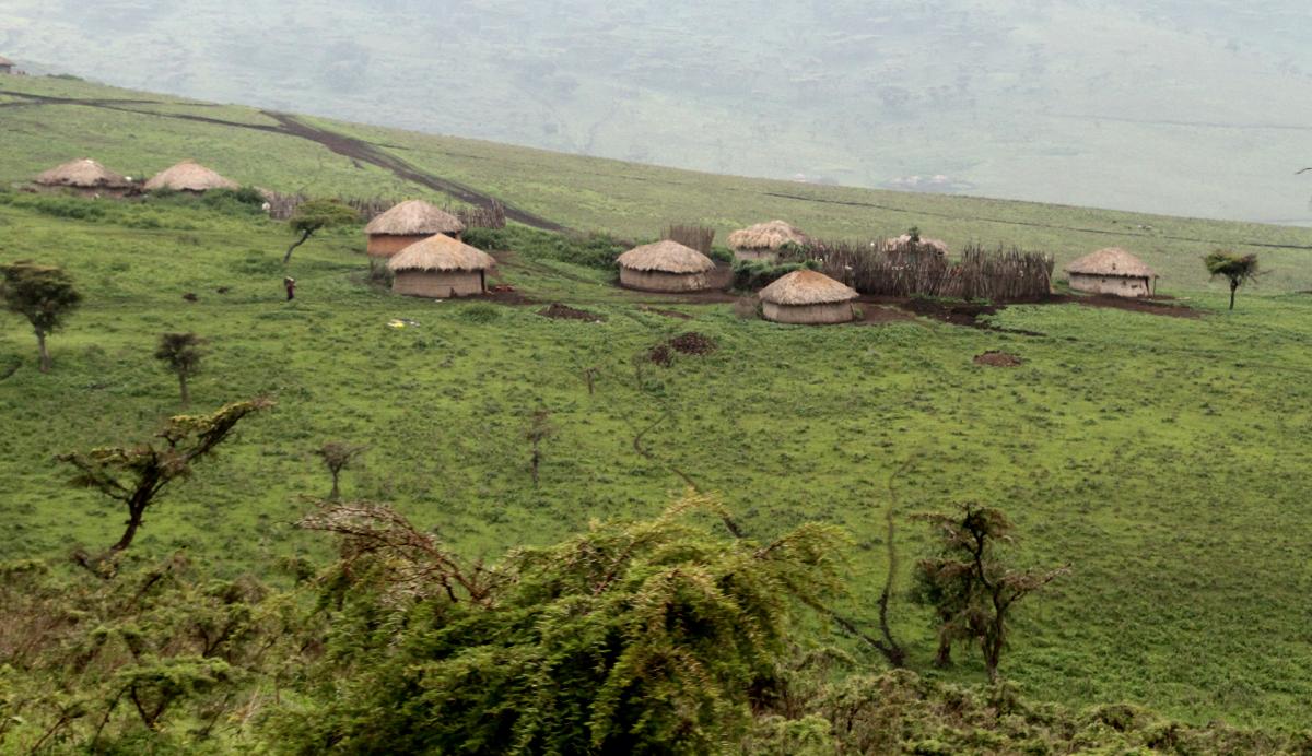 tanzania exploringafrica safariadv romina facchi serengeti