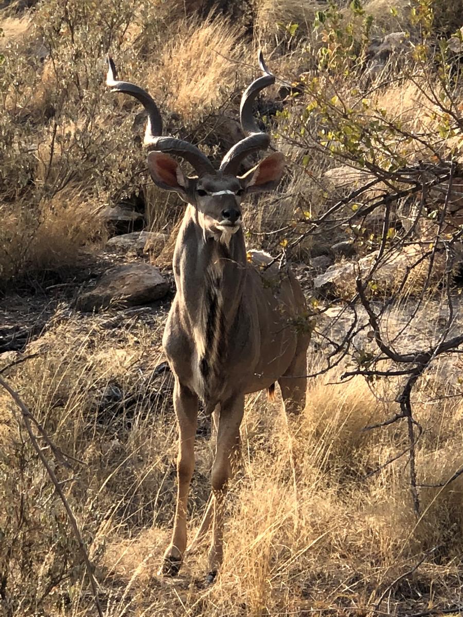 Mapungubwe sudafrica south africa exploringafrica safariadv